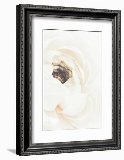White Flower 01-1x Studio III-Framed Photographic Print