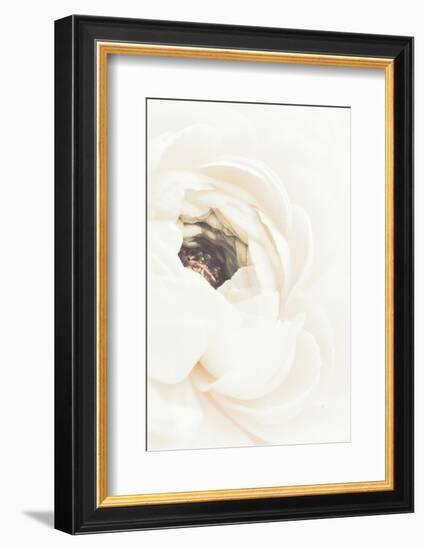 White Flower 01-1x Studio III-Framed Photographic Print