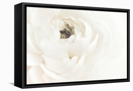White Flower 02-Pictufy Studio III-Framed Premier Image Canvas