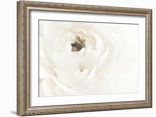 White Flower 02-Pictufy Studio III-Framed Giclee Print