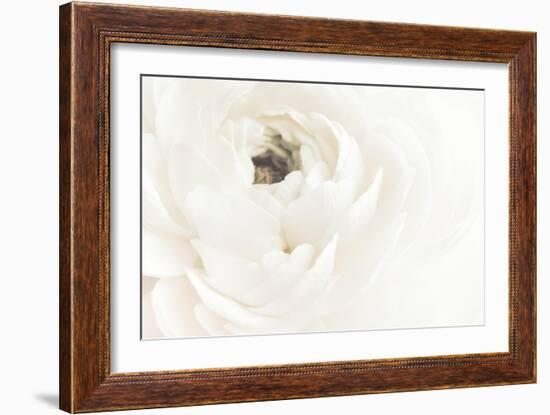 White Flower 02-Pictufy Studio III-Framed Giclee Print