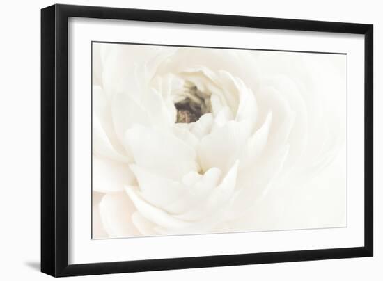 White Flower 02-Pictufy Studio III-Framed Giclee Print