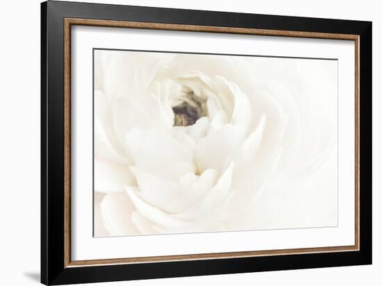 White Flower 02-Pictufy Studio III-Framed Giclee Print