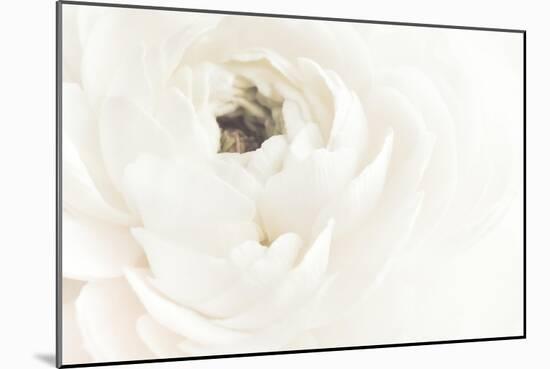 White Flower 02-Pictufy Studio III-Mounted Giclee Print