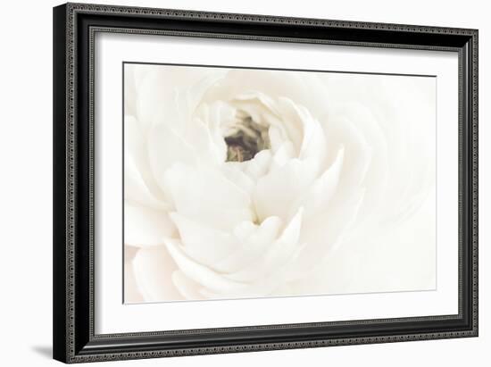 White Flower 02-Pictufy Studio III-Framed Giclee Print