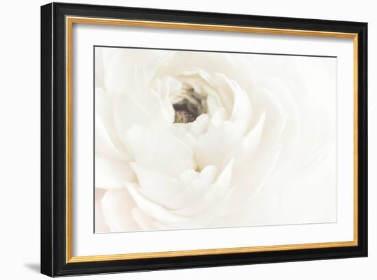 White Flower 02-Pictufy Studio III-Framed Giclee Print