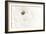 White Flower 02-Pictufy Studio III-Framed Giclee Print