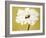 White Flower on Ochre-Soraya Chemaly-Framed Giclee Print