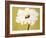 White Flower on Ochre-Soraya Chemaly-Framed Giclee Print