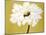 White Flower on Ochre-Soraya Chemaly-Mounted Giclee Print