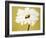 White Flower on Ochre-Soraya Chemaly-Framed Giclee Print