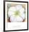 White Flower on Red Earth, No. 1, c.1946-Georgia O'Keeffe-Framed Art Print