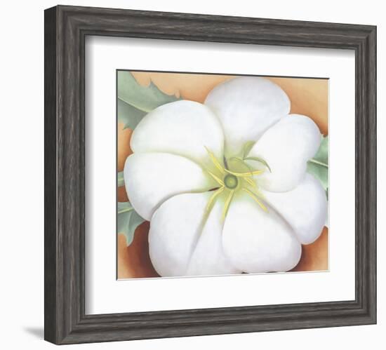 White Flower on Red Earth, No. 1, c.1946-Georgia O'Keeffe-Framed Art Print