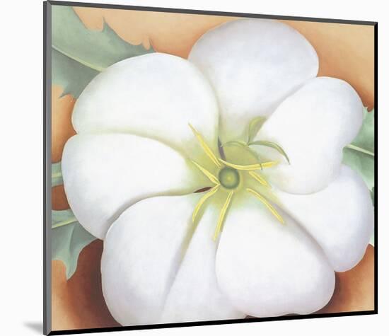 White Flower on Red Earth, No. 1, c.1946-Georgia O'Keeffe-Mounted Art Print