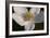 White Flower-Gordon Semmens-Framed Photographic Print