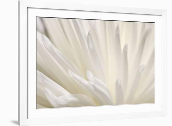 White Flower-PhotoINC-Framed Photographic Print