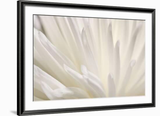 White Flower-PhotoINC-Framed Photographic Print