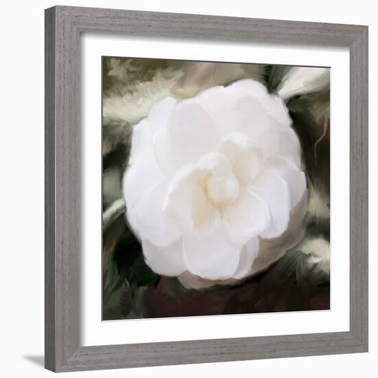 White Flower-Dan Meneely-Framed Photographic Print