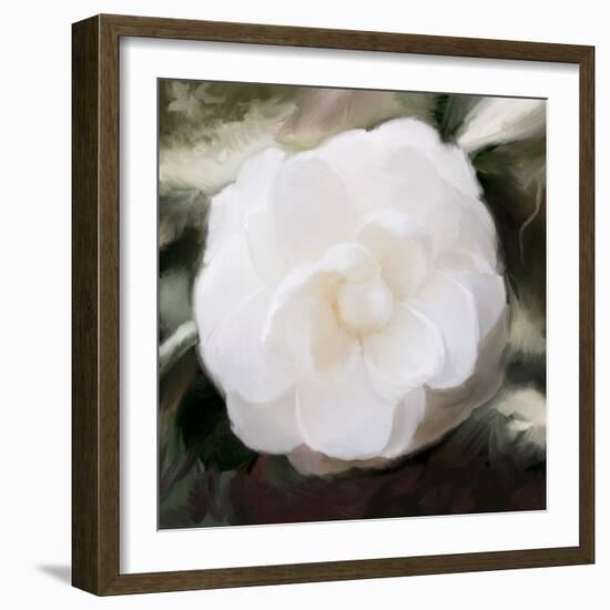 White Flower-Dan Meneely-Framed Photographic Print