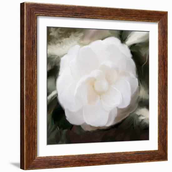 White Flower-Dan Meneely-Framed Photographic Print