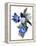 White Flowers and Light Blue Flowers (Gouache on Paper and Adobe Photoshop)-Hiroyuki Izutsu-Framed Premier Image Canvas