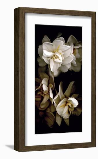 White Flowers Delight I-Richard Sutton-Framed Art Print