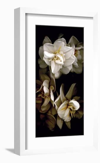 White Flowers Delight I-Richard Sutton-Framed Art Print