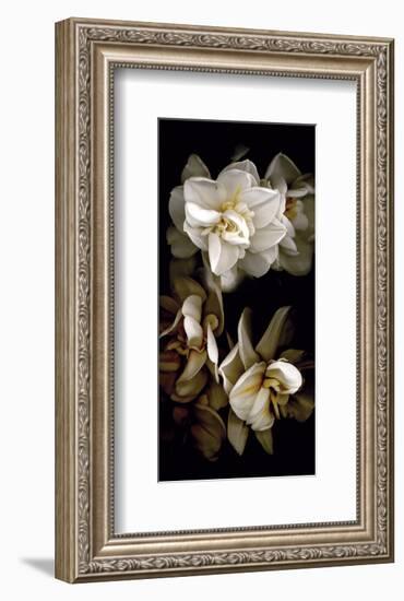 White Flowers Delight I-Richard Sutton-Framed Art Print