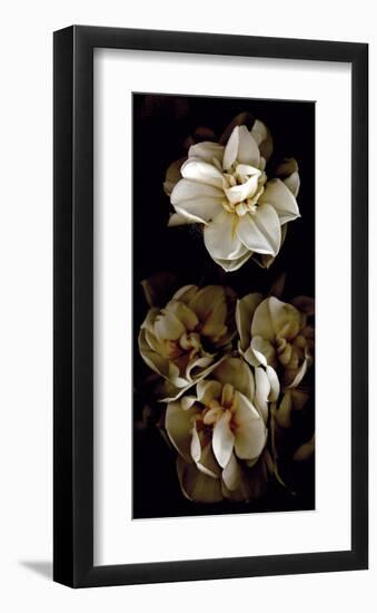 White Flowers Delight II-Richard Sutton-Framed Art Print