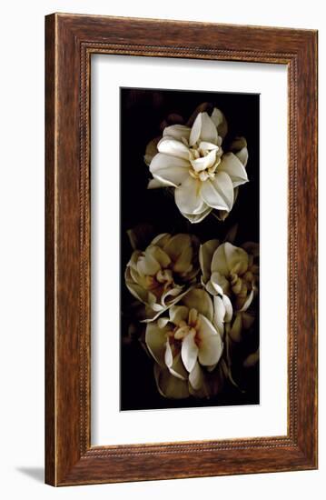 White Flowers Delight II-Richard Sutton-Framed Art Print