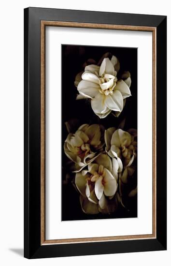 White Flowers Delight II-Richard Sutton-Framed Art Print