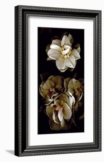 White Flowers Delight II-Richard Sutton-Framed Art Print