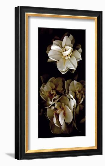 White Flowers Delight II-Richard Sutton-Framed Art Print