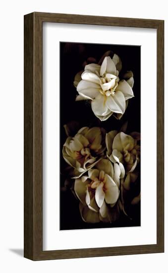 White Flowers Delight II-Richard Sutton-Framed Art Print