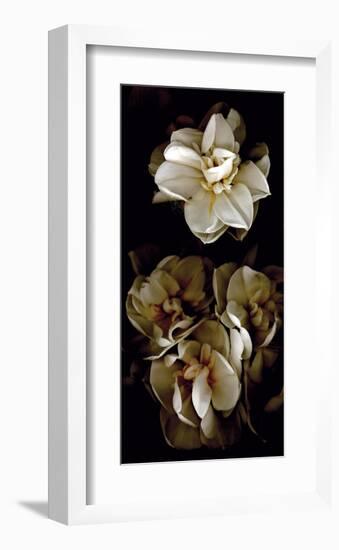 White Flowers Delight II-Richard Sutton-Framed Art Print