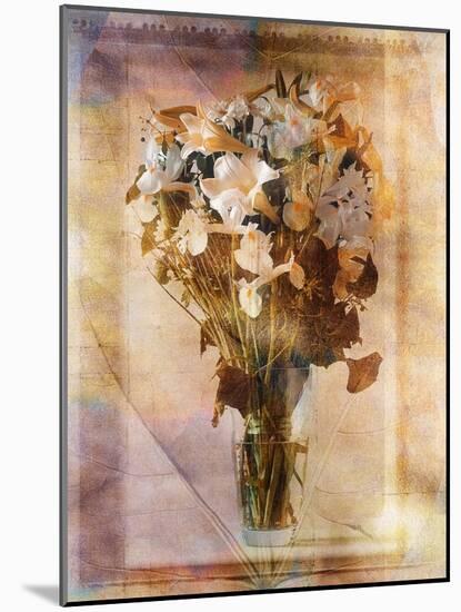 White Flowers in a Vase-Colin Anderson-Mounted Photographic Print