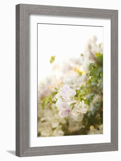 White Flowers IV-Karyn Millet-Framed Photographic Print