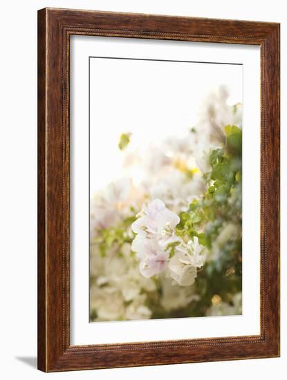 White Flowers IV-Karyn Millet-Framed Photographic Print