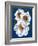 White Flowers on Blue II-Vivien Rhyan-Framed Art Print