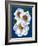 White Flowers on Blue II-Vivien Rhyan-Framed Art Print