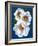 White Flowers on Blue II-Vivien Rhyan-Framed Art Print