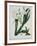 White Flowers with Long Dark Green Leaves-Samuel Holden-Framed Giclee Print