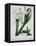 White Flowers with Long Dark Green Leaves-Samuel Holden-Framed Premier Image Canvas