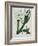 White Flowers with Long Dark Green Leaves-Samuel Holden-Framed Giclee Print