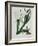 White Flowers with Long Dark Green Leaves-Samuel Holden-Framed Giclee Print