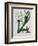 White Flowers with Long Dark Green Leaves-Samuel Holden-Framed Giclee Print