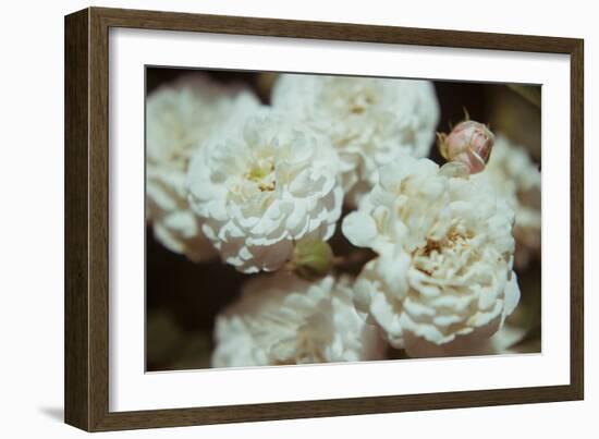 White Flowers-Carolina Hernandez-Framed Photographic Print