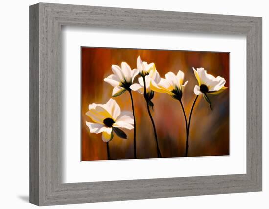 White Flowers-Ursula Abresch-Framed Photographic Print