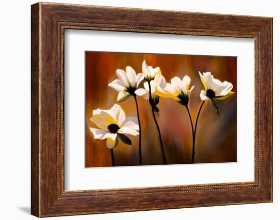 White Flowers-Ursula Abresch-Framed Photographic Print