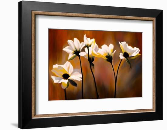 White Flowers-Ursula Abresch-Framed Photographic Print